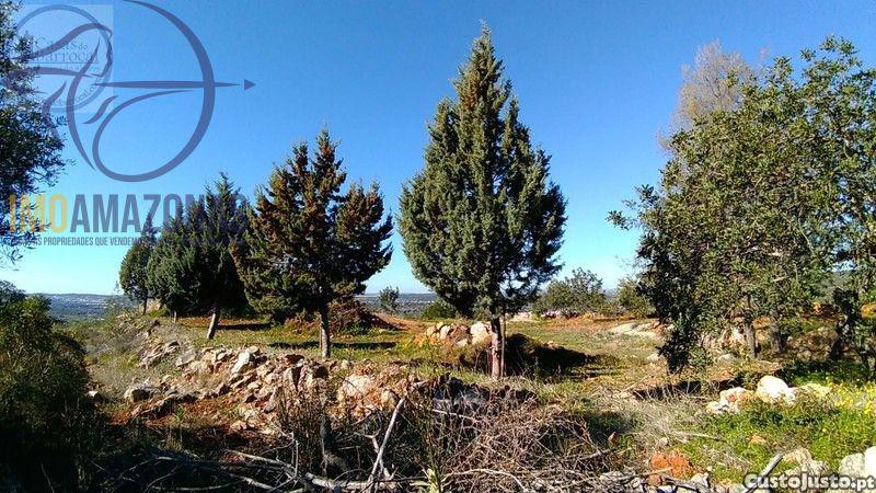 1250m² Land in Alte, Portugal No. 230972