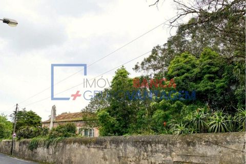 535m² Land in Sintra, Portugal No. 349531