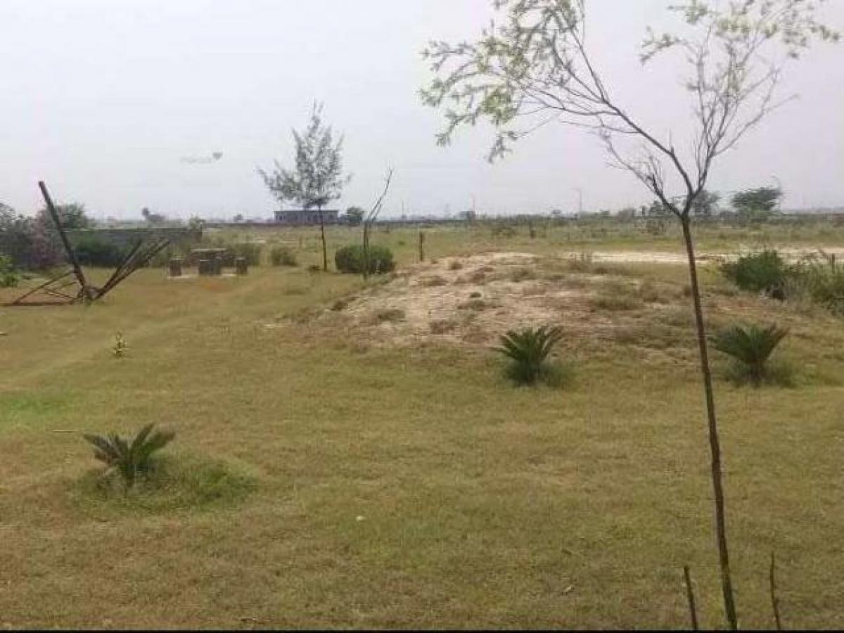  Land in Noida, India No. 65640
