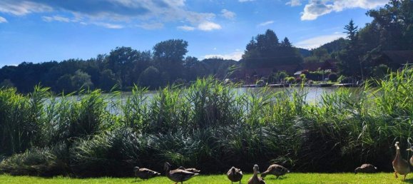 2-salle Maison à Leibnitz, Austria No. 133100 14