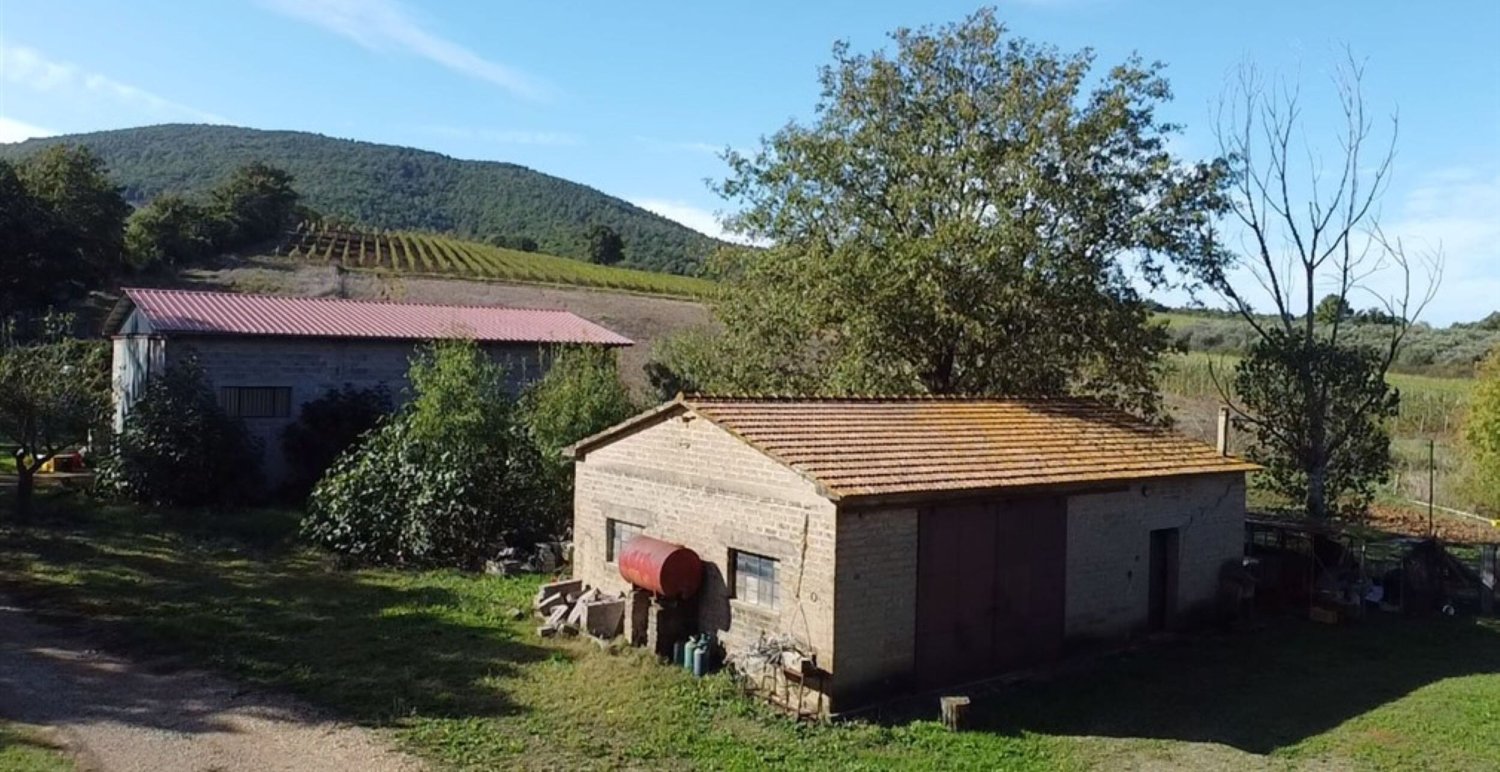 6 rooms House in Capalbio, Italy No. 283978