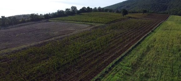 6 rooms House in Capalbio, Italy No. 283978 7