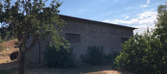 6 rooms House in Capalbio, Italy No. 283978 12