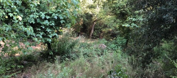 6 rooms House in Capalbio, Italy No. 283978 15