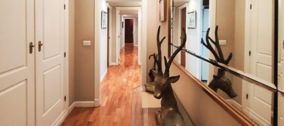 5 bedrooms Apartment in Alicante, Spain No. 34540 5