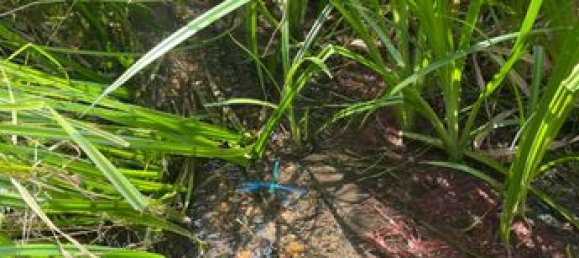 3 bedrooms House in Tarn, France No. 363136 13