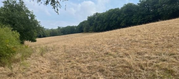 3 bedrooms House in Tarn, France No. 363136 8