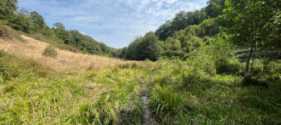 3 bedrooms House in Tarn, France No. 363136 12