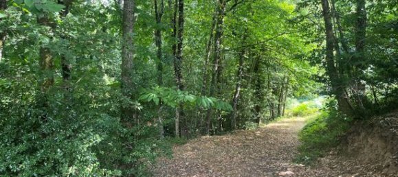 3 bedrooms House in Tarn, France No. 363136 11