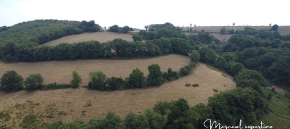 3 bedrooms House in Tarn, France No. 363136 5