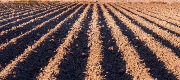 790m² Land in Neirone, Italy No. 277645 9