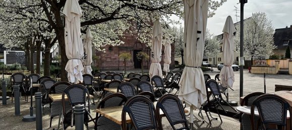 180m² Commercial property in Haut-Rhin, France No. 85557 2