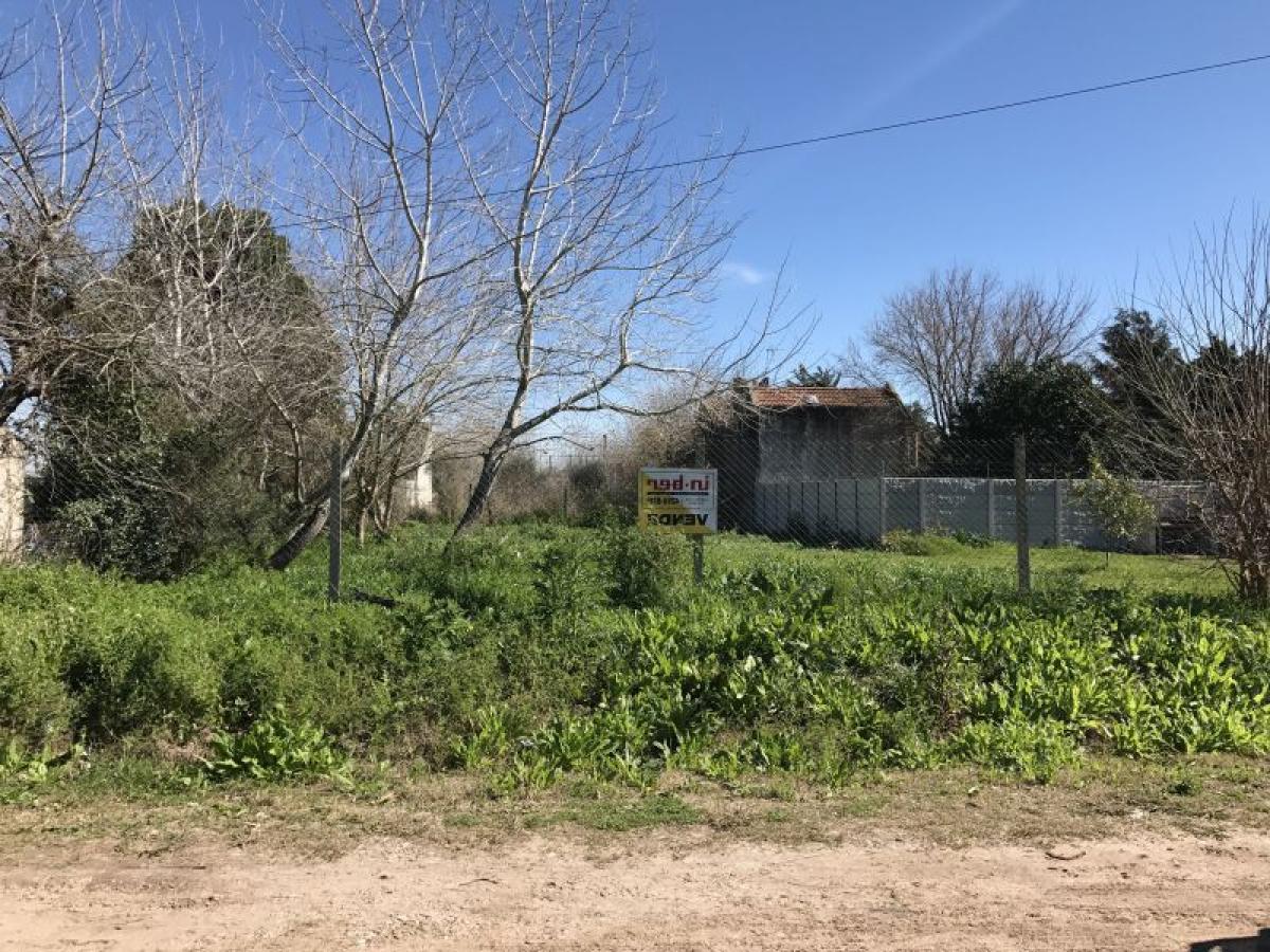  Land in Berazategui, Argentina No. 40383