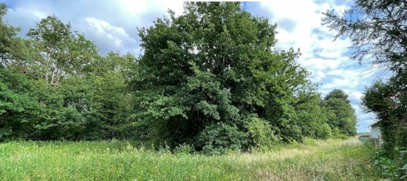 Grundstück in Neuvy-en-Sullias, France, Nr. 89581 3