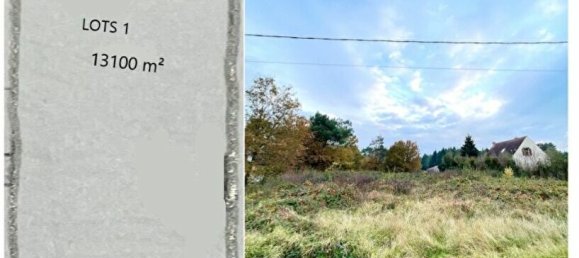 Grundstück in Neuvy-en-Sullias, France, Nr. 89581 4