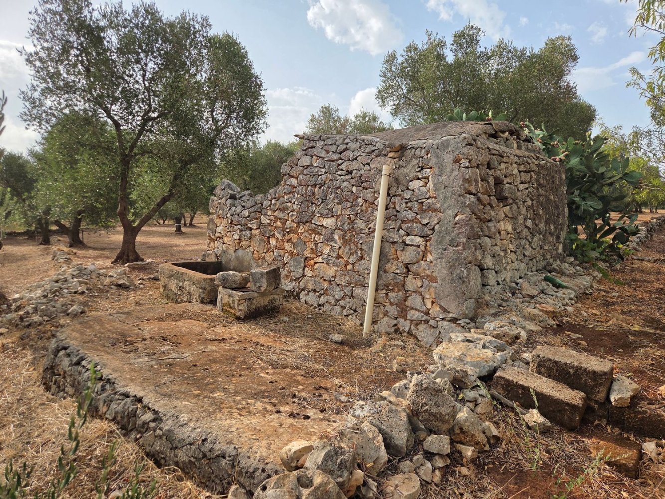  Land in Ostuni, Italy No. 374505