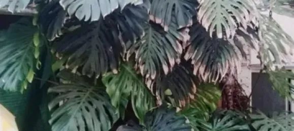 4 bedrooms House in Antella, Spain No. 129412 43