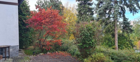 Casa de 9 habitaciónes en Burgenlandkreis, Germany No. 38808 24