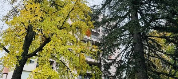 Apartamento T4 em Mulhouse, France N.º 157703 2