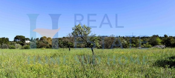 1 Schlafzimmer Haus in Noto, Italy, Nr. 117981 36