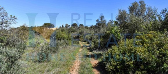 1 Schlafzimmer Haus in Noto, Italy, Nr. 117981 28