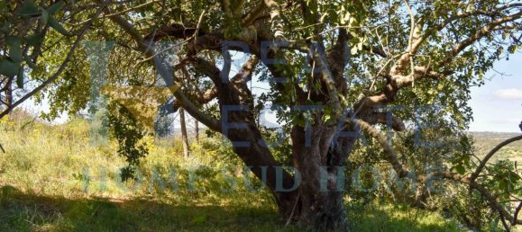 1 Schlafzimmer Haus in Noto, Italy, Nr. 117981 41