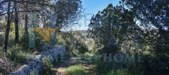 1 Schlafzimmer Haus in Noto, Italy, Nr. 117981 23