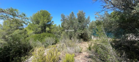  Land in Tortosa, Spain No. 173601 4