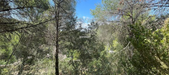  Land in Tortosa, Spain No. 173601 5