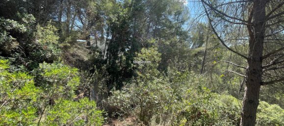  Land in Tortosa, Spain No. 173601 6