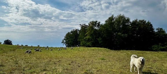 8غرفة تاون هاوس في Markisch-Oderland, Germany رقم 316500 44