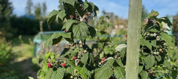 8غرفة تاون هاوس في Markisch-Oderland, Germany رقم 316500 36