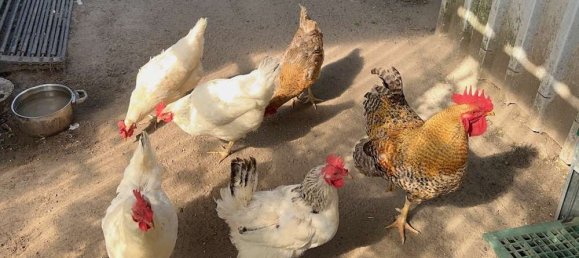 8غرفة تاون هاوس في Markisch-Oderland, Germany رقم 316500 37