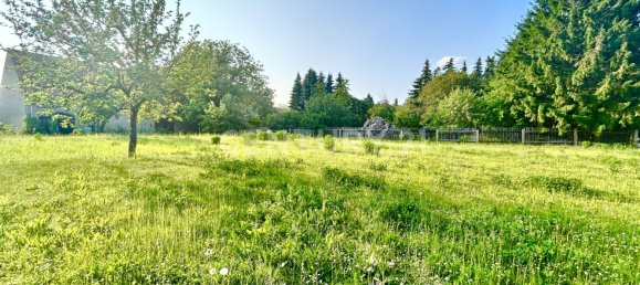 Terreno en Radebeul, Germany No. 236350 7