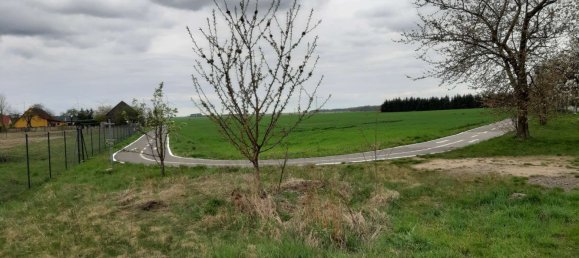 2 bedrooms Bungalow in Teltow-Flaming, Germany No. 261113 8