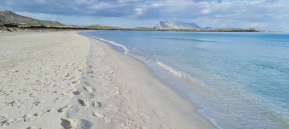 5غرفة فيلا في San Teodoro, Italy رقم 18205 4