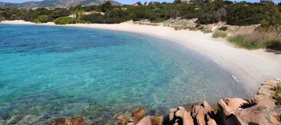 5غرفة فيلا في San Teodoro, Italy رقم 18205 15