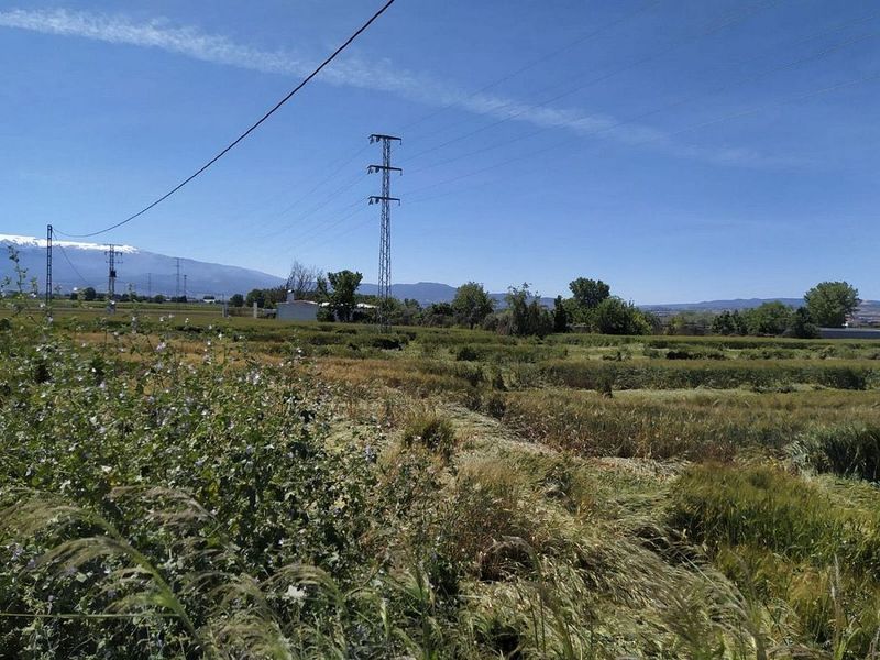 Grundstück in Granada, Spain 6998m², Nr. 226902