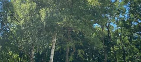 2 Schlafzimmer Wohnung in Straubing, Germany, Nr. 53514 5