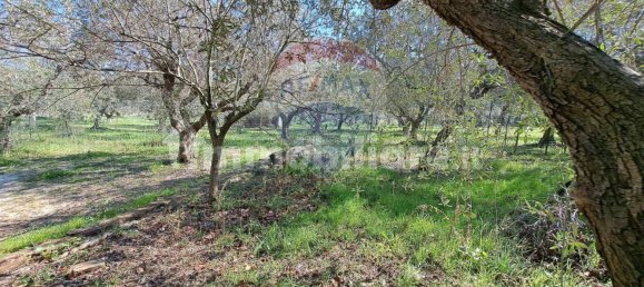 Коммерческая недвижимость с 3 комнатами в Фоссачезия, Италия № 62678 30