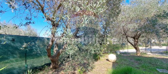 Коммерческая недвижимость с 3 комнатами в Фоссачезия, Италия № 62678 20