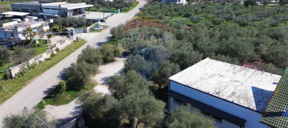 Коммерческая недвижимость с 3 комнатами в Фоссачезия, Италия № 62678 31