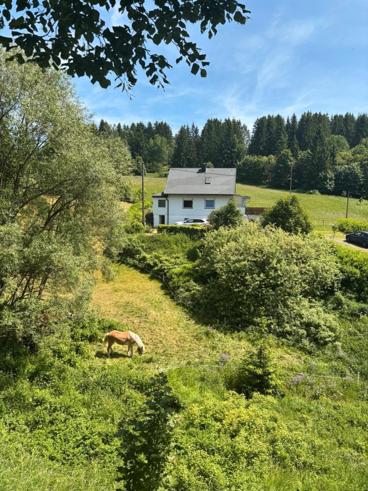 Casa de 2 dormitorios en Sonneberg, Germany No. 236166
