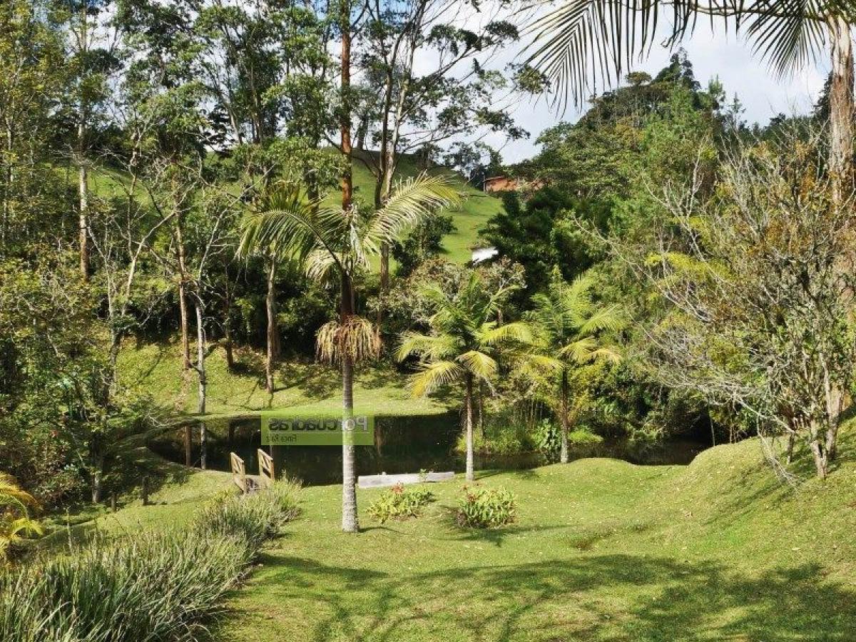  Land in Antioquia, Colombia No. 256