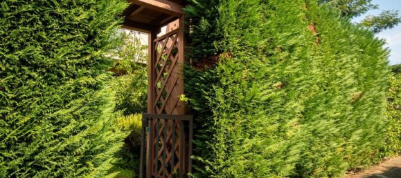 6 chambres Maison à Ravenna, Italy No. 337428 13