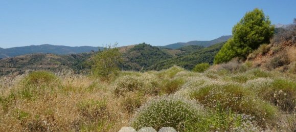 Дом с 3 спальнями в Юнкера, Испания № 53253 8