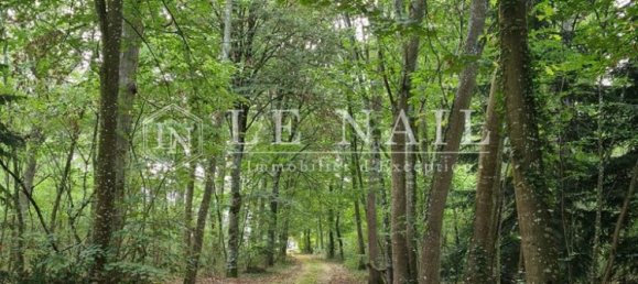 13 bedrooms Castles in Angers, France No. 298083 16