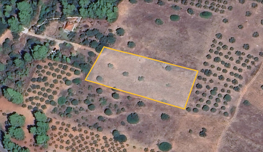 Hotel en Chalkidiki, Greece 5500 m² No. 55006