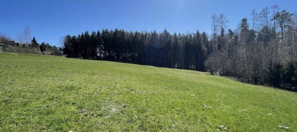 Земельный участок 2624м² в Кумберг, Австрия № 196527 6