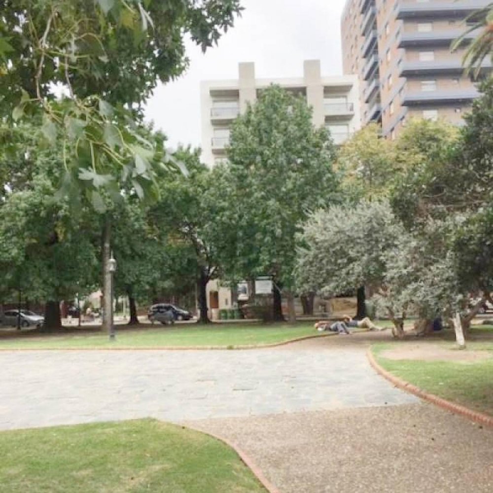 Studio in Tigre, Argentina No. 18219